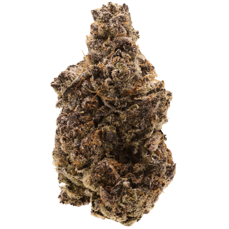 A close-up of a single cannabis bud with purple