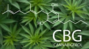 A molecular structure labeled CBG (cannabigerol) is displayed over a background of green cannabis leaves.