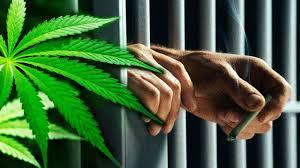 A person holds a rolled cigarette behind jail bars, with a large cannabis leaf in the foreground.