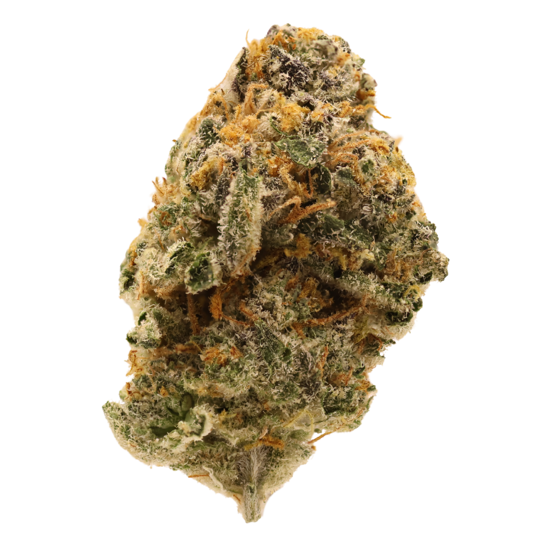 Alaskan Thunderfuck THCa Top Shelf – Sativa – TSL – 3.5g