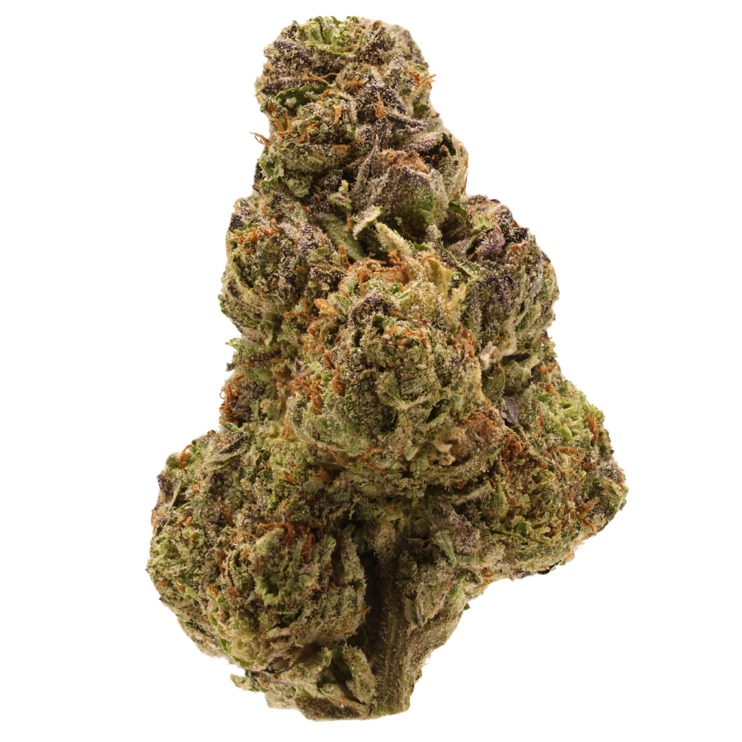 Girl Scout Cookies THCa - Hybrid - Regular - 3.5g