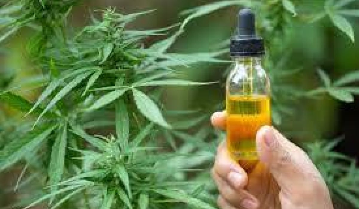 A hand holds a dropper bottle containing yellow liquid near a cannabis plant with green leaves in an outdoor setting.