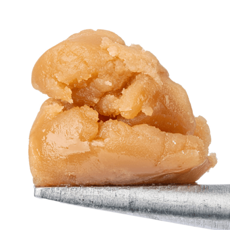 A close-up of a small amount of light brown, waxy substance held at the tip of a metal tool against a white background.